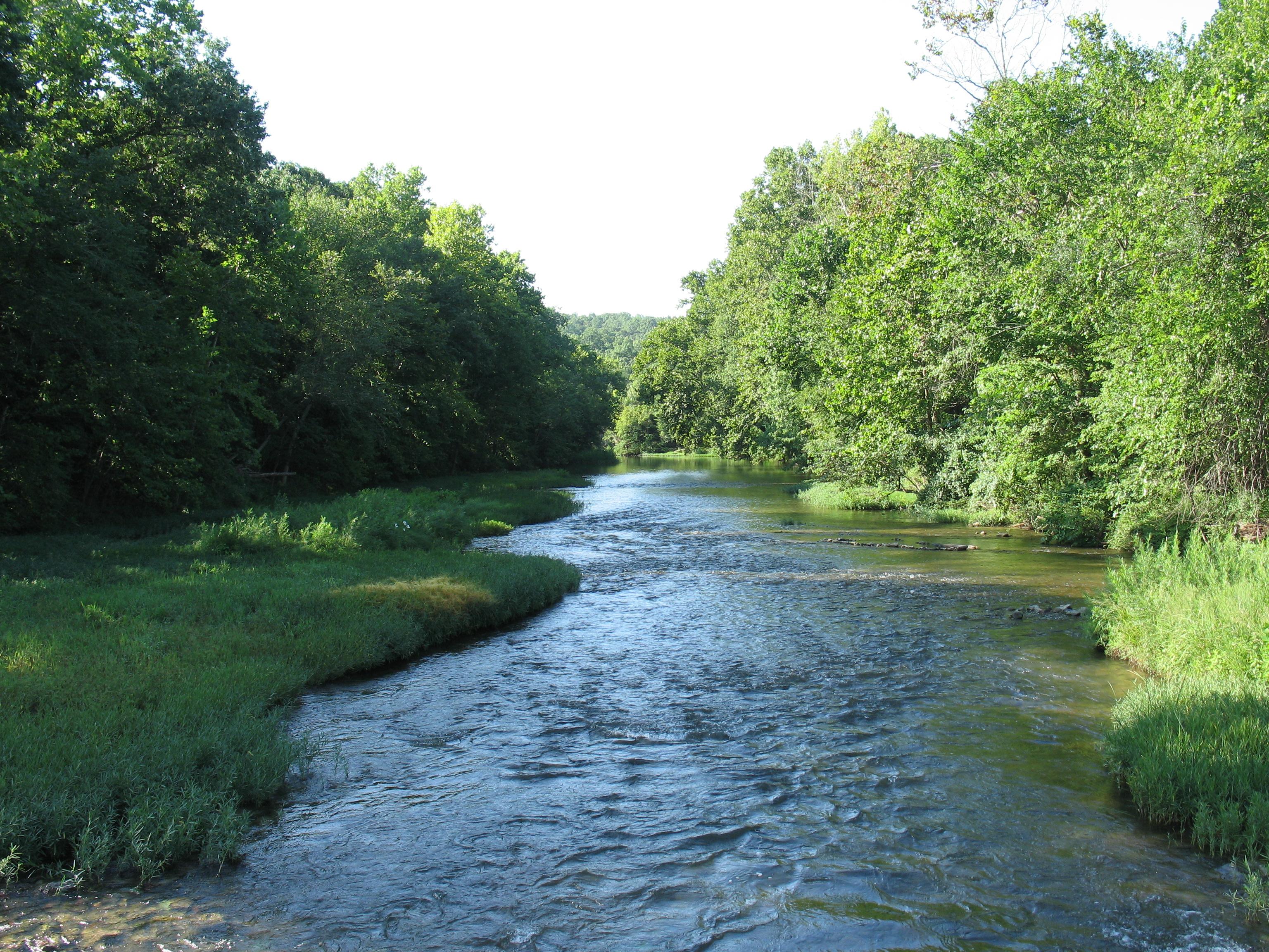 Build on this Beautiful Lot in Cherokee Village, Arkansas!