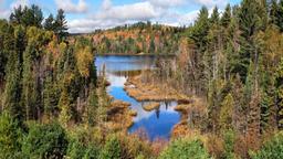 Fifty Acres Near Lake Superior in Marquette County, Michigan!