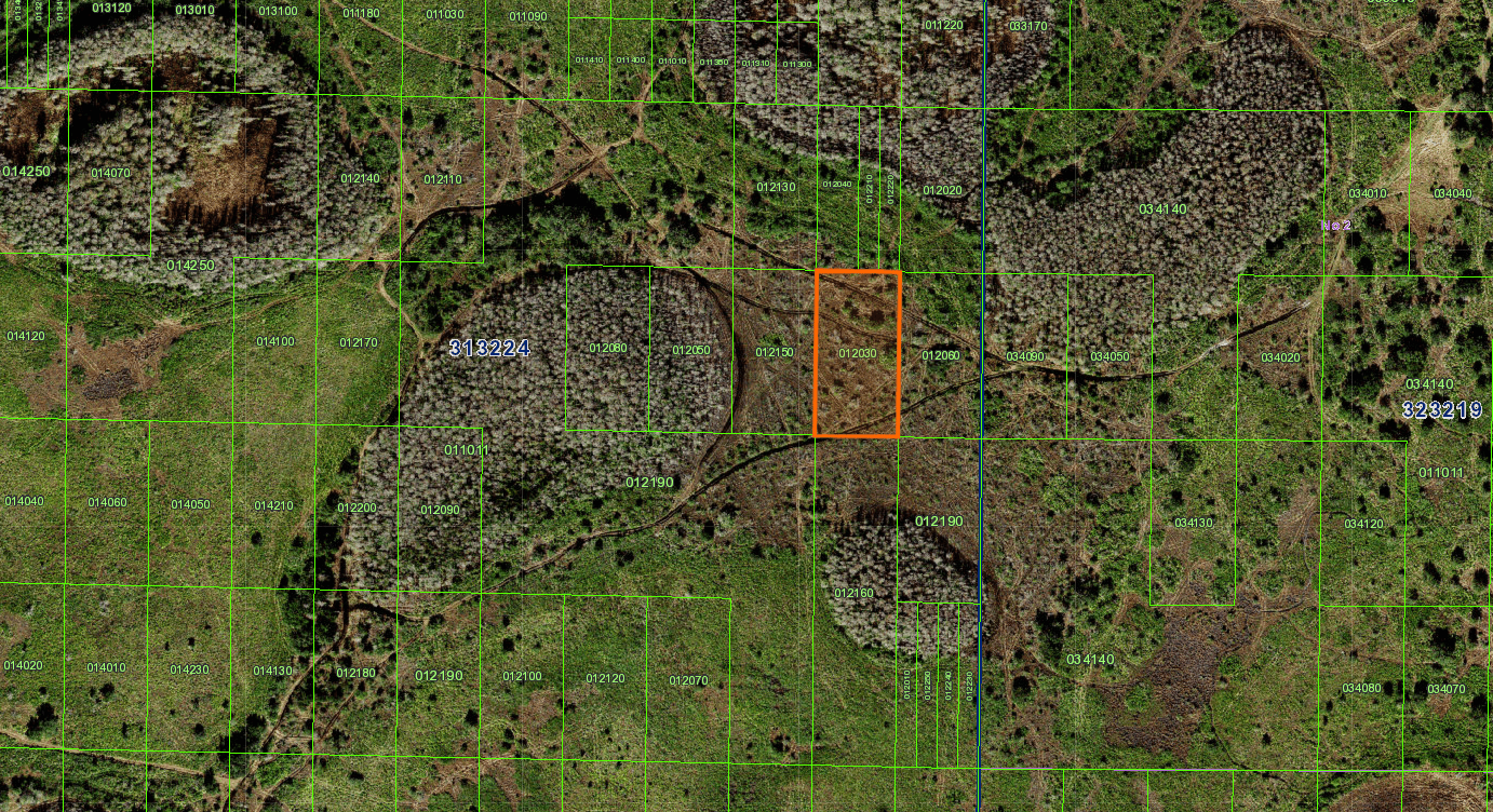 Beautiful 1.27 Acres Lot in Polk County, Florida!