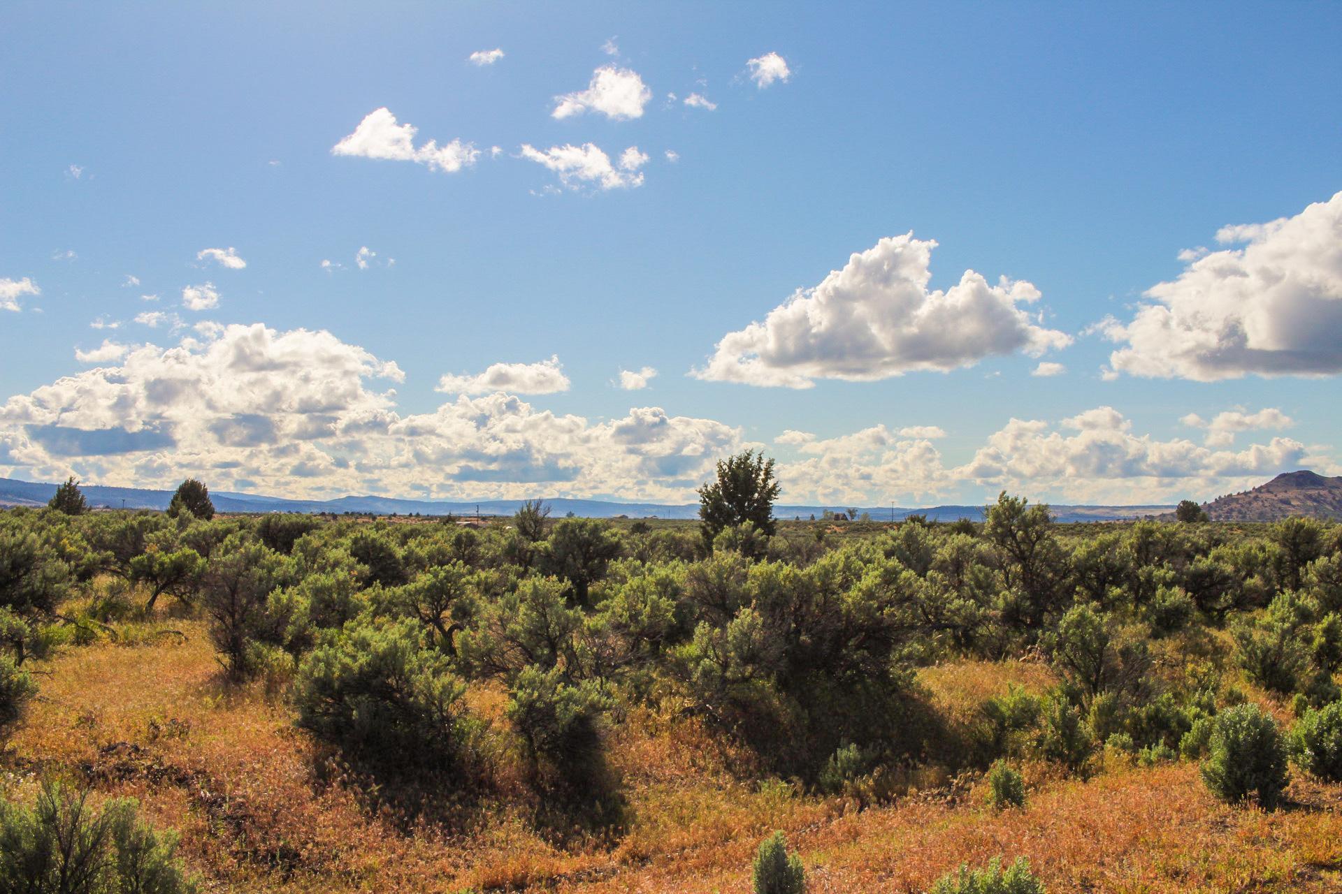 Build or Camp on this One Acre Lot in Modoc County, California!