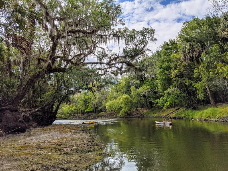Stroll to Whidden Bay & the Peace River in Charlotte County, Florida!