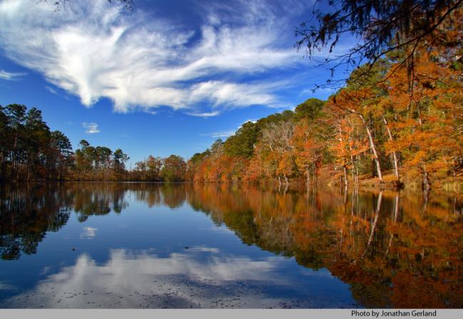 "Reel In" this Buildable Property Tucked Along the Shores of Lake Sam Rayburn, Texas!