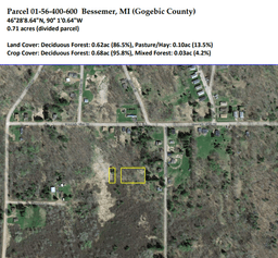 Stake your Claim of this almost 3/4 Acre lot that Awaits You in Michigan's Upper Peninsula!