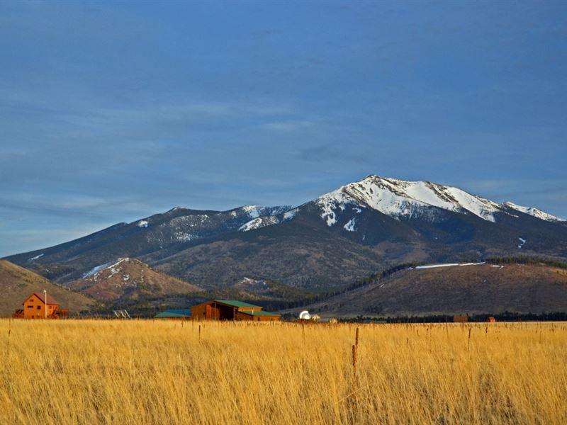 Beautiful Lot in Navajo County, Arizona!