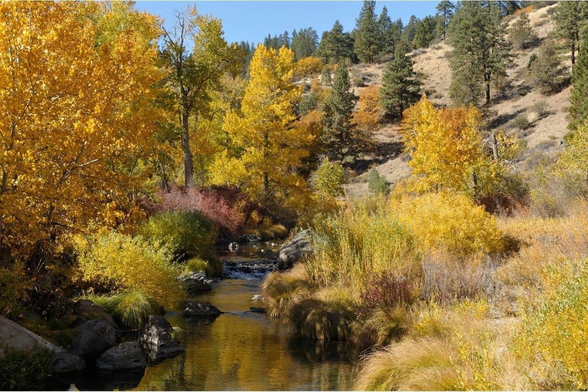 Over a Quarter Acre in Lassen County, California!