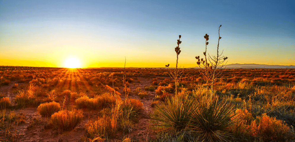 20-Lot Package in the Heart of New Mexico! BIDDING IS PER LOT!