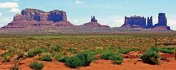Land in Beautiful Navajo County, Arizona!