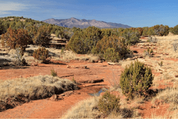 Increase Your Land Portfolio:  20-Lot New Mexico Package! BIDDING IS PER LOT!