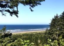 Sea & Serenity are Waiting for You, in Grays Harbor, Washington!
