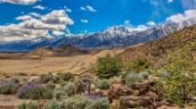 Tranquil 2.5-Acre Retreat in Breathtaking Inyo County, California!
