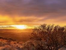 Explore the History & Beauty of Cochise County, Arizona!