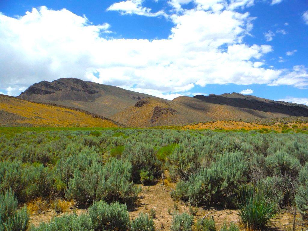 50 Picturesque Acres in Lander County, Nevada!