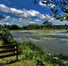 Invest Along Michigan's Lakeshore Near Lake Erie!