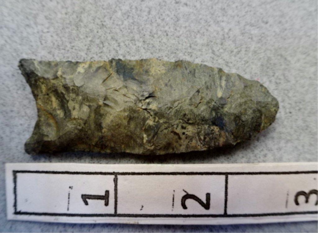Paleo Fluted Point - 2 1/4 in. - Coshocton Flint