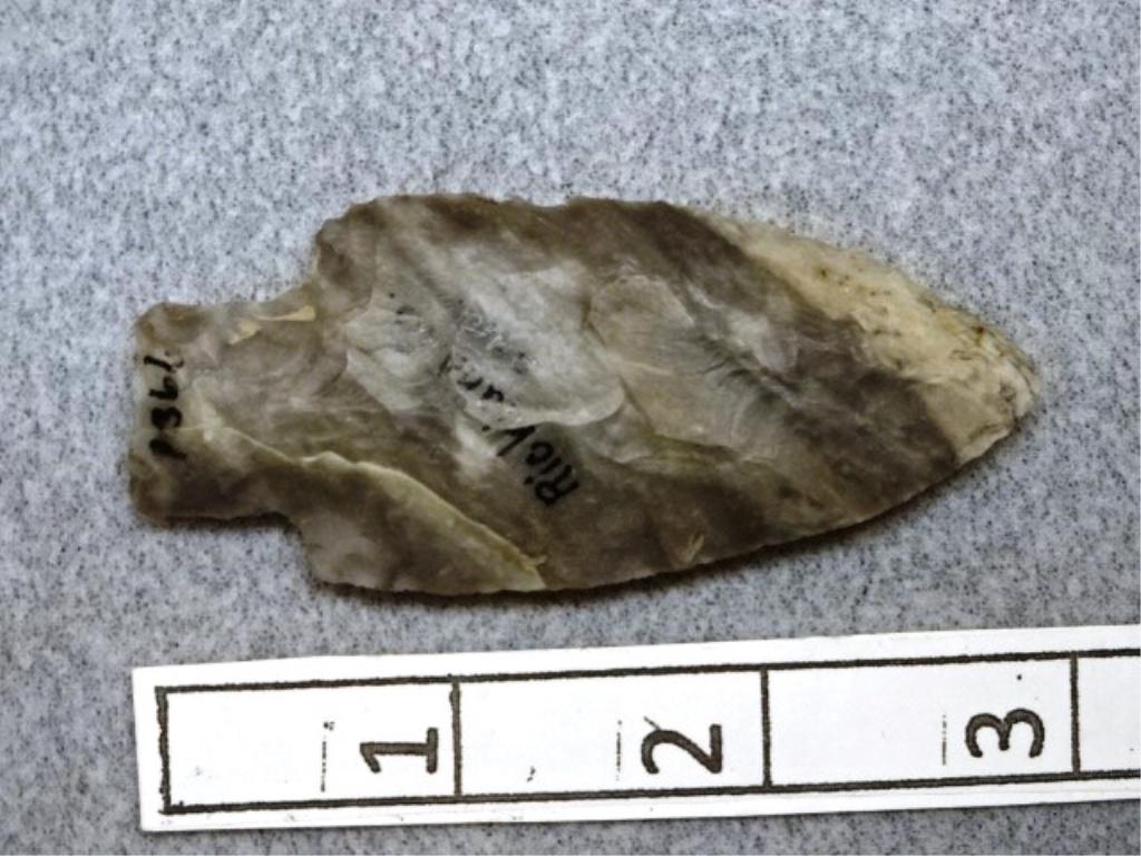 Adena Point - 3 in. - Coshocton Flint