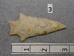 Bifurcated Point - 3 in. - White Flint