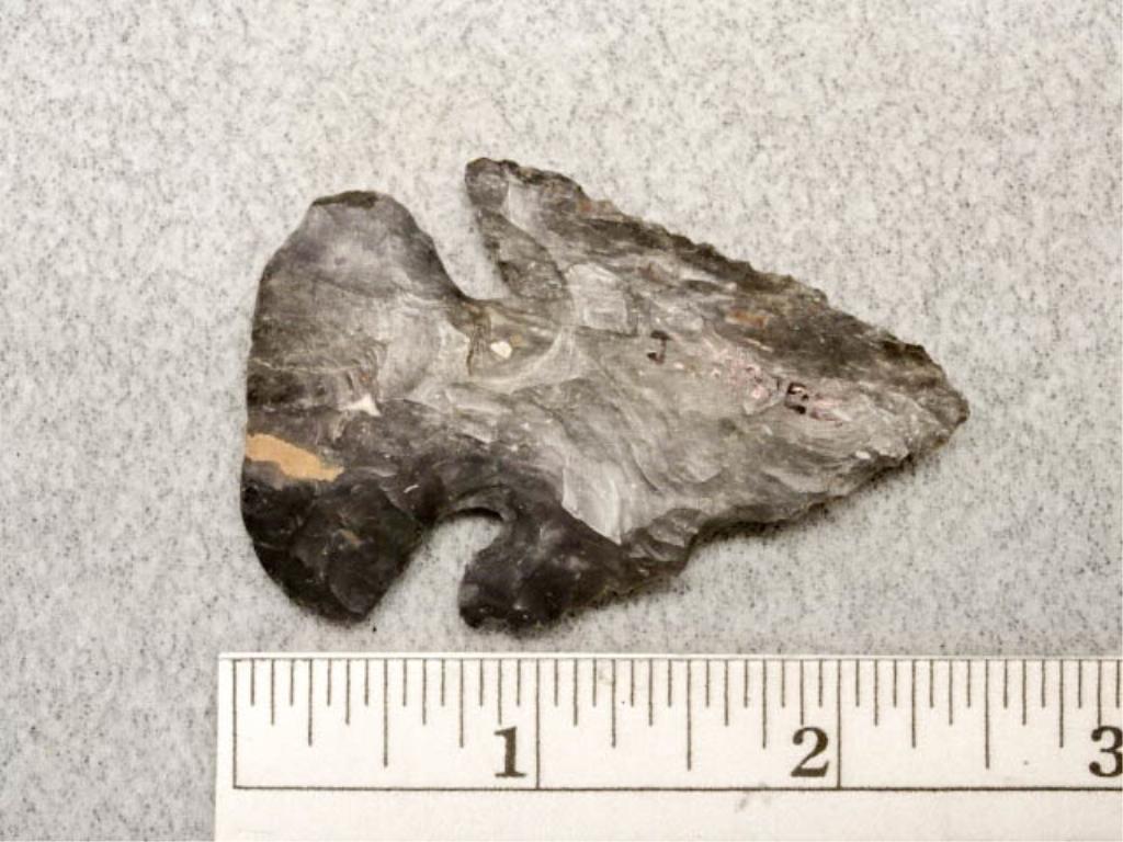 Archaic Bevel - 2 1/4 in. - Coshocton Flint