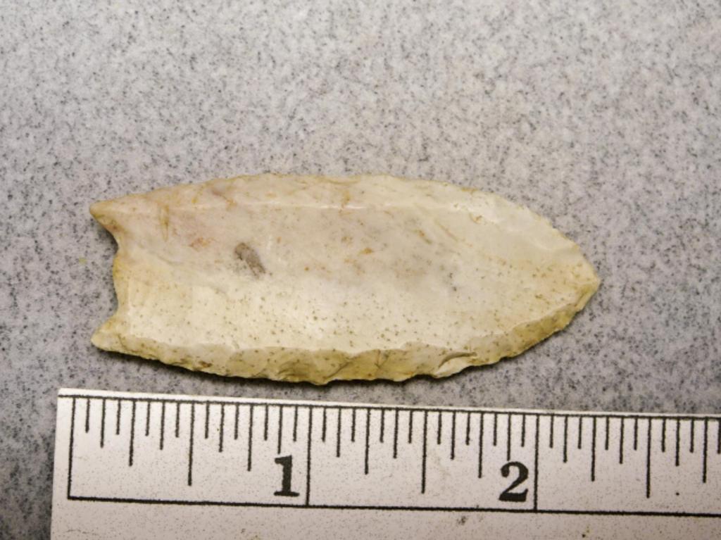 Paleo Fluted Point - 2 1/4 in. - White Flint