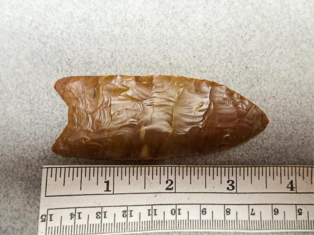 Paleo Point - 3 1/2 in. - Carter Cave Flint