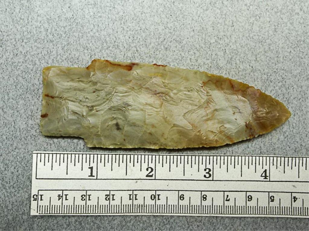 Stemmed Lanceolate - 4 1/ in. - Carter Cave