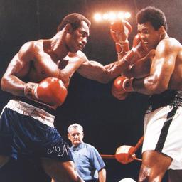 Norton Punching Ali