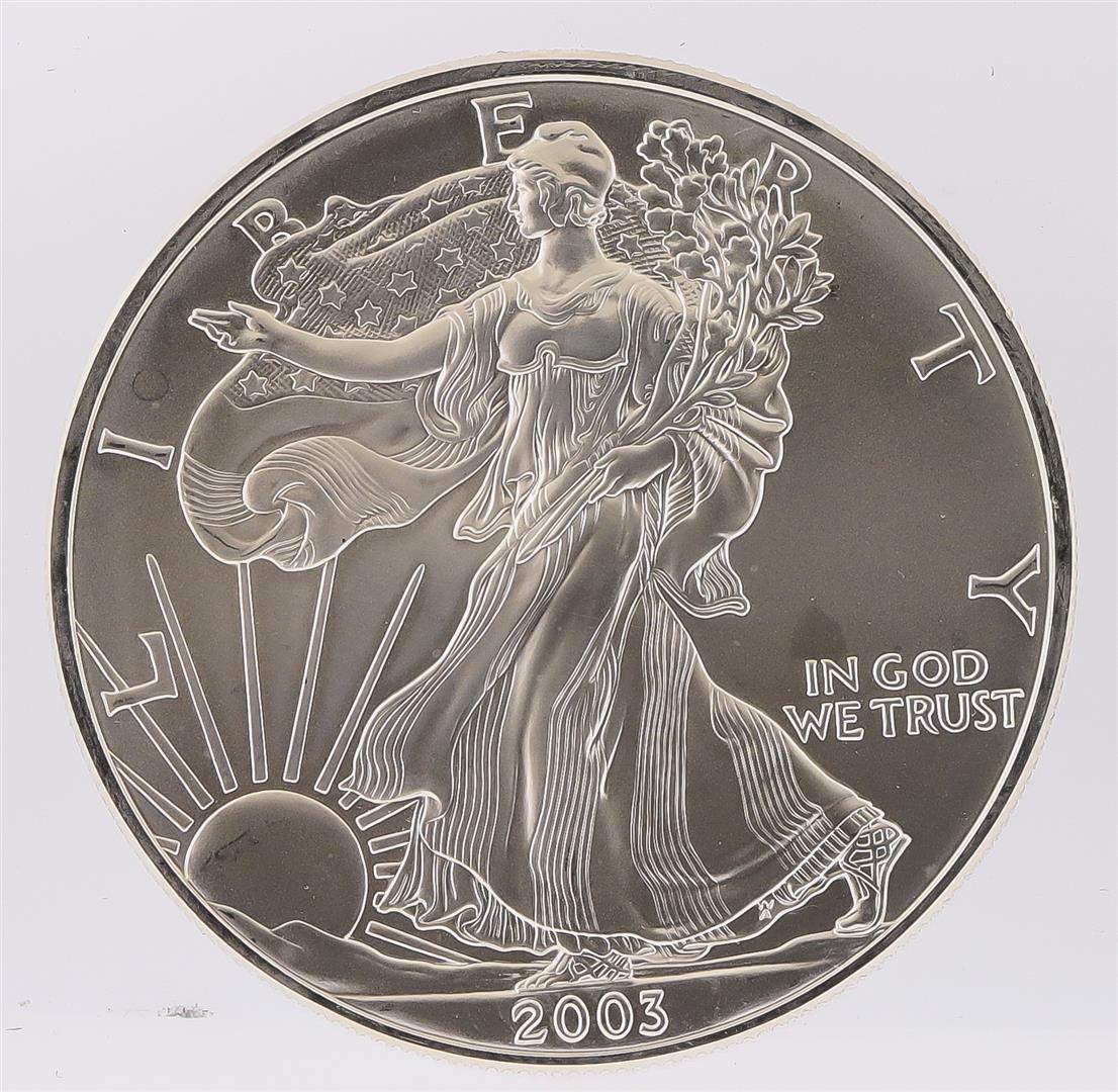 2003 American Silver Eagle Dollar Coin