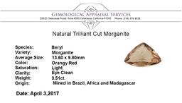 3.51 ct. Natural Trilliant Cut Morganite