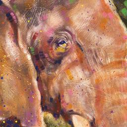 Elephant by Fishwick, Stephen