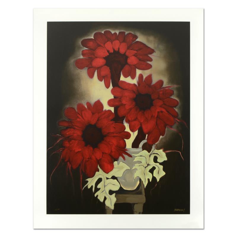 Daisy Red by Barnum, Brenda