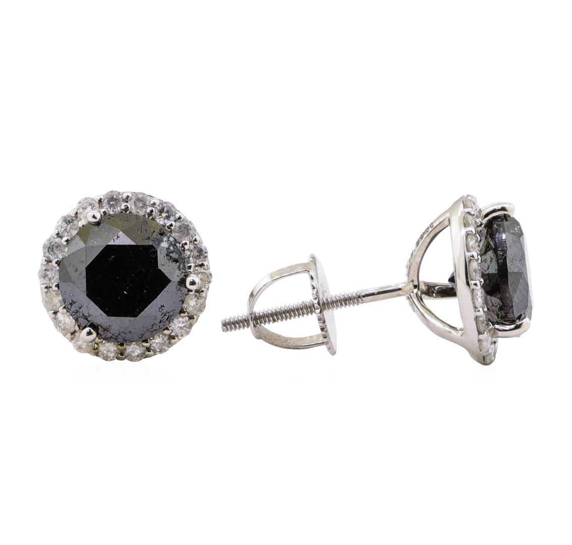 3.92 ctw Black Diamond Earrings - 14KT White Gold