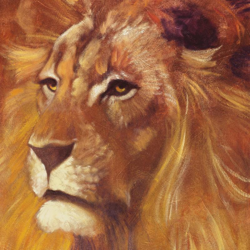 Lion by Fishwick, Stephen