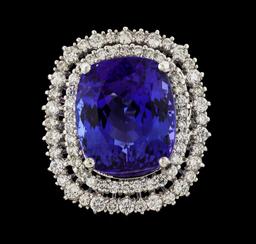 18.03 ctw Tanzanite and Diamond Ring - 14KT White Gold