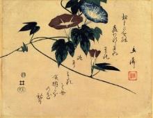 Hiroshige Morning Glory