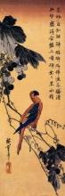 Hiroshige Ara on a Vine