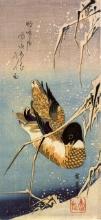 Hiroshig Wild Duck