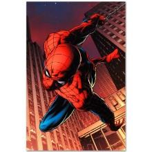 Amazing Spider-Man #641 by Marvel Comics