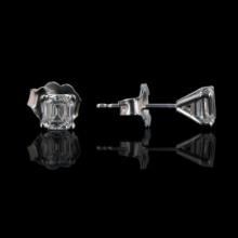 0.67 ctw Diamond 18KT White Gold Earrings