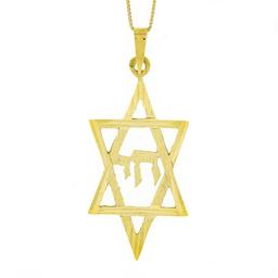 14K Gold Reversible Large Dual Finish Star of David Chai Center Pendant Necklace