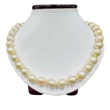 Pearl and Diamond Necklace - 14KT Yellow Gold