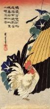 Hiroshige Cock, Umbrella and Morning Glory
