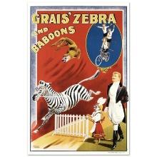 Grais Zebra & Baboons by RE Society