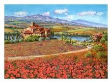 Sam Park "TUSCANY REVERIE"