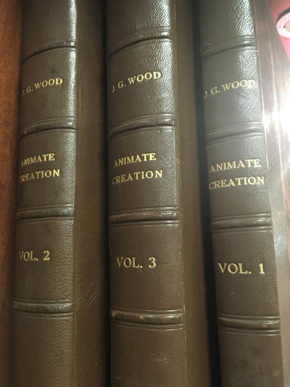 3 Antique 1898 Zoological Books Vol 1,2,3