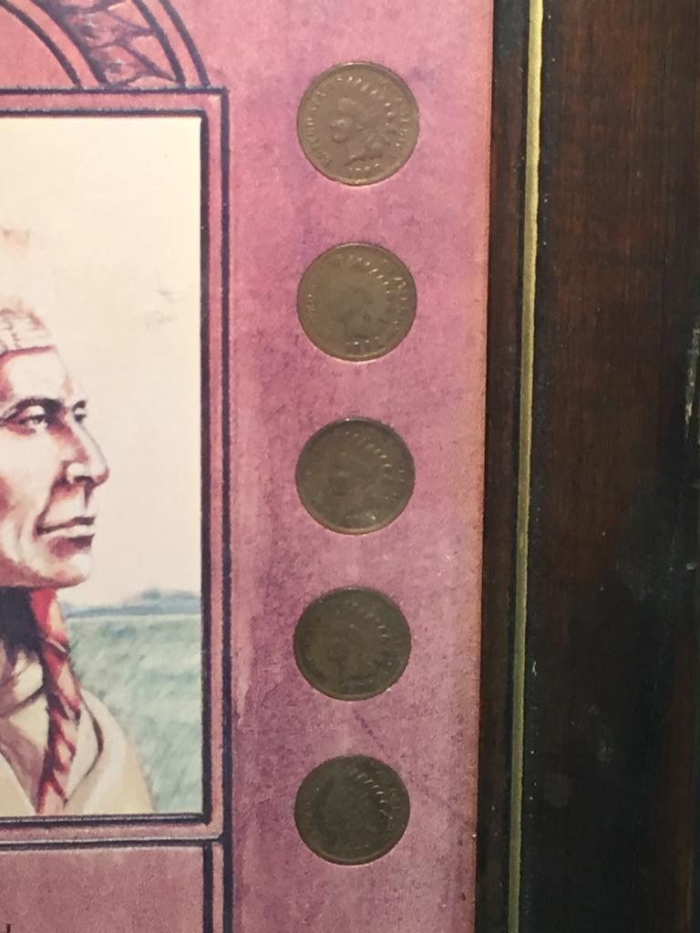 Framed American Indian Head  Penny Set w/ 10 Coins
