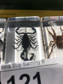 3 Small Acrylic Cubes w/ Spider, Scorpion, & Green Beetle         High Bidder to Pay 3X$