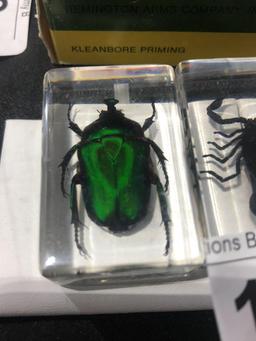 3 Small Acrylic Cubes w/ Spider, Scorpion, & Green Beetle         High Bidder to Pay 3X$