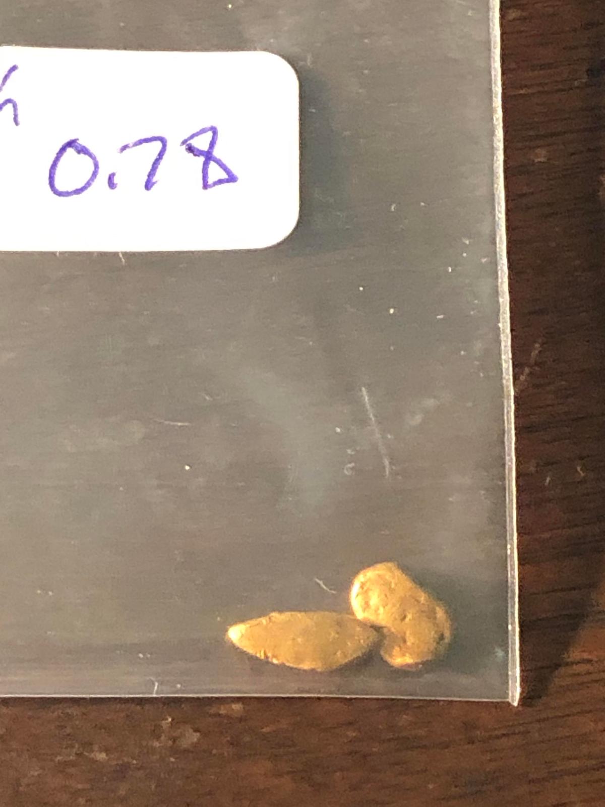 0.78 Grams Nevada Placer Gold Mini Nuggets