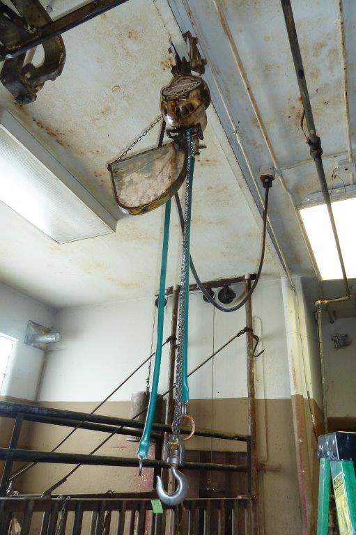 220 Volt Chain Hoist