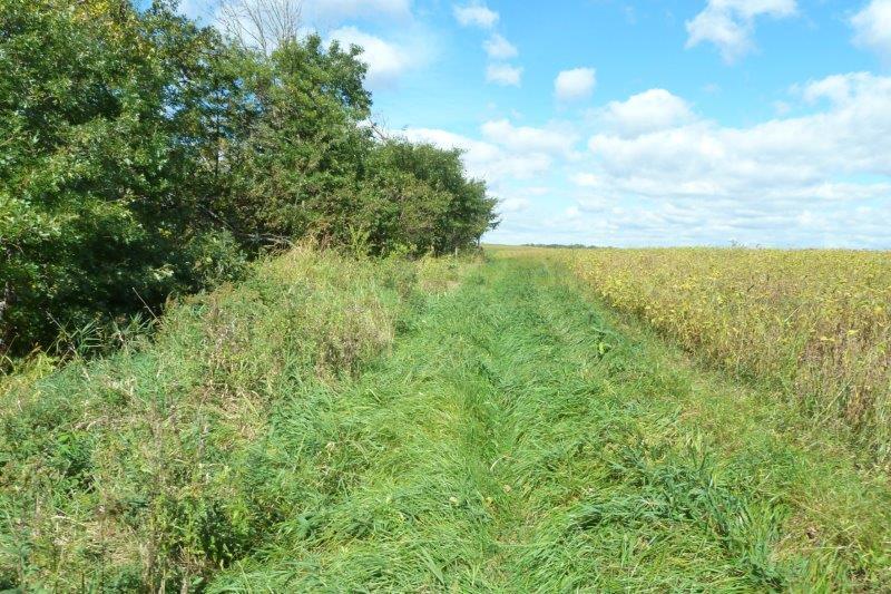 40 Acres in Palmer Township MN