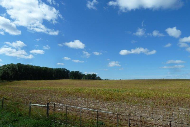 40 Acres in Palmer Township MN